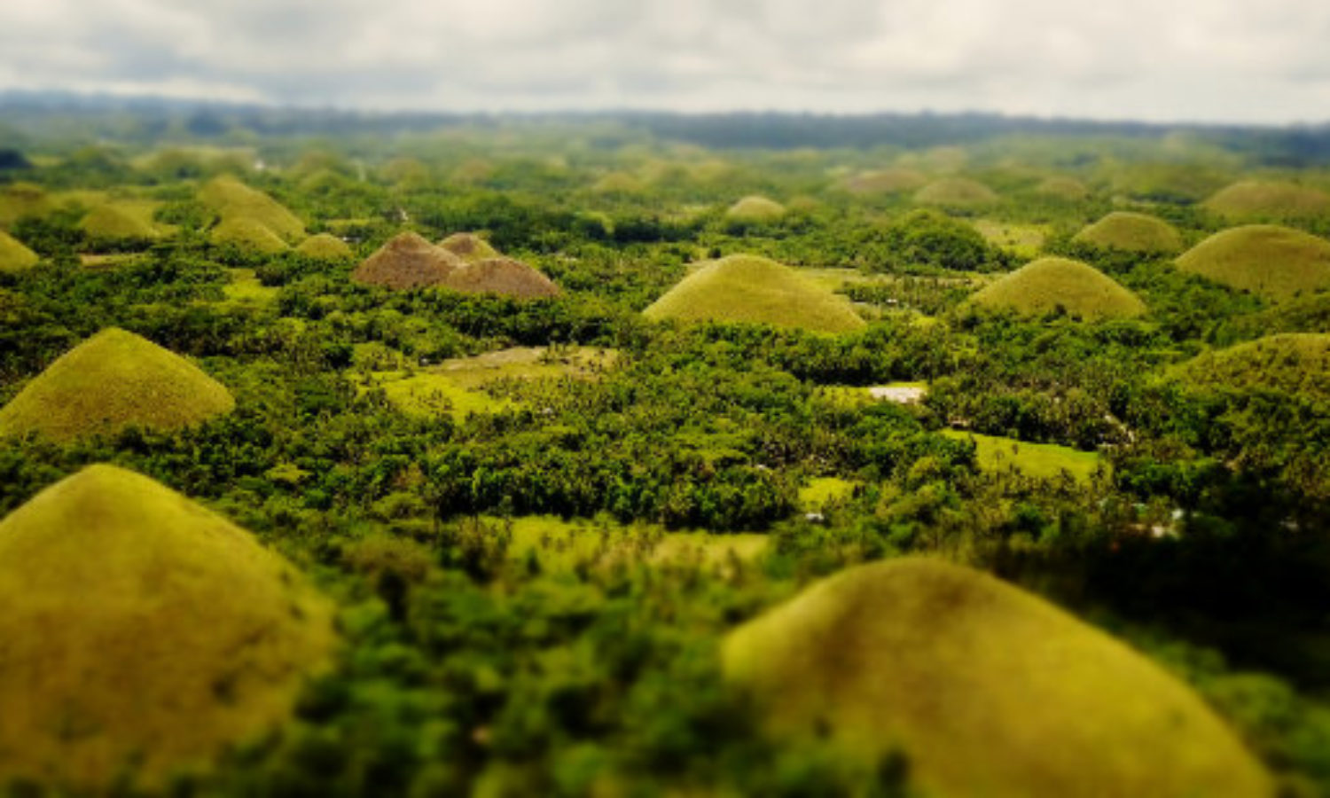 Drone view of Choclate Hills in Bohol, Philippines in tilt-shift video