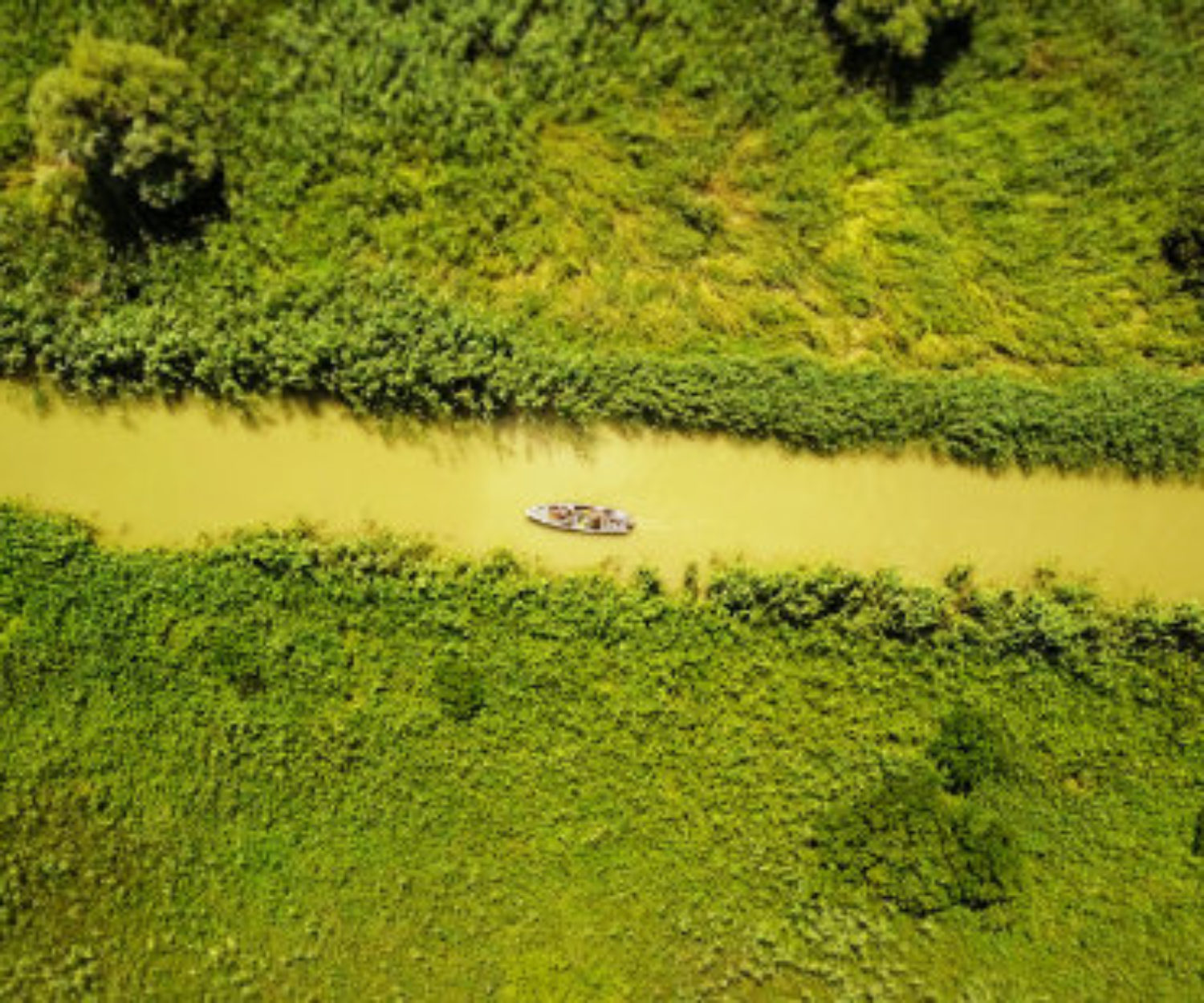 Aerial view of boat on Danube Delta in Romania in tilt-shift video