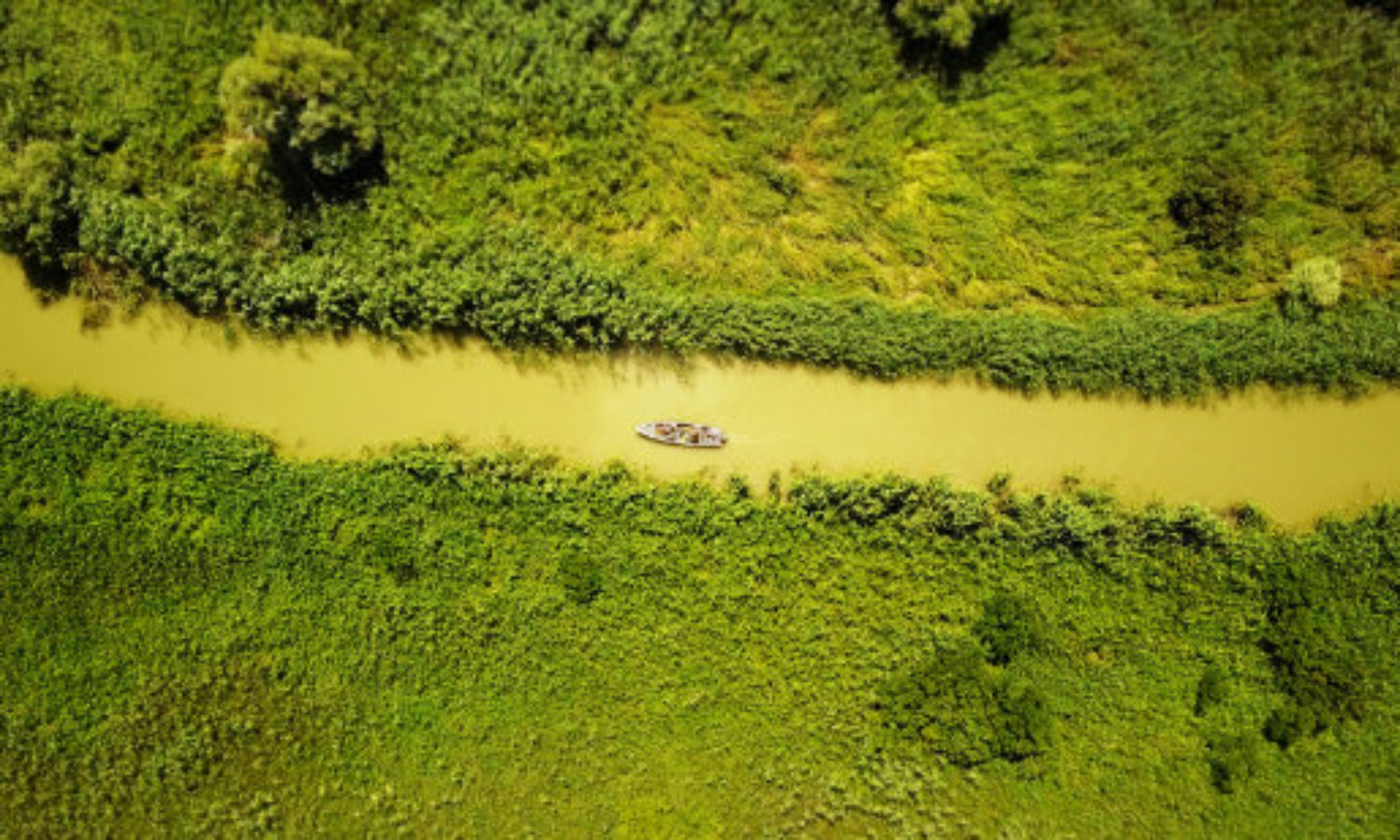 Aerial view of boat on Danube Delta in Romania in tilt-shift video