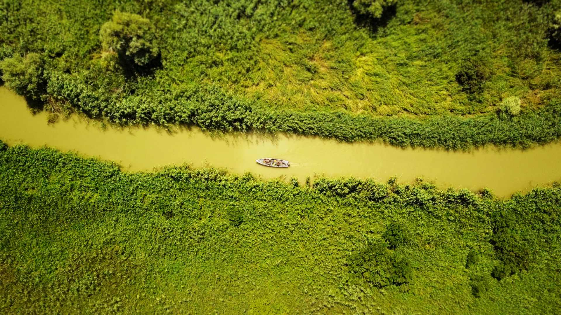 Birds Eye View of a bot in the Danube Delta, Romania. Screenshot from miniature tilt shift time lapse video