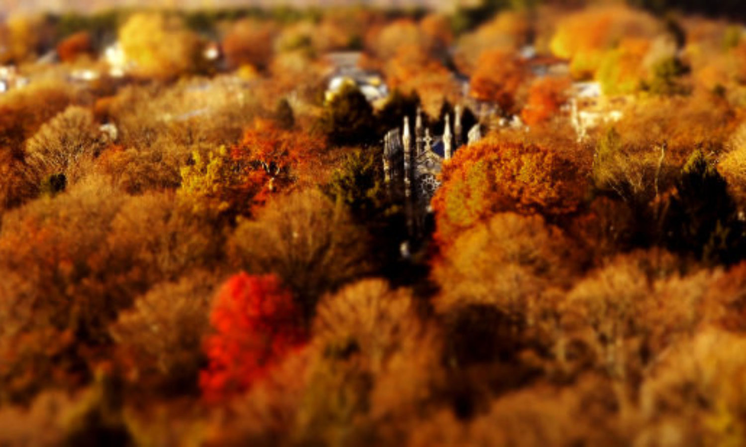 Cemetery in tilt shift video